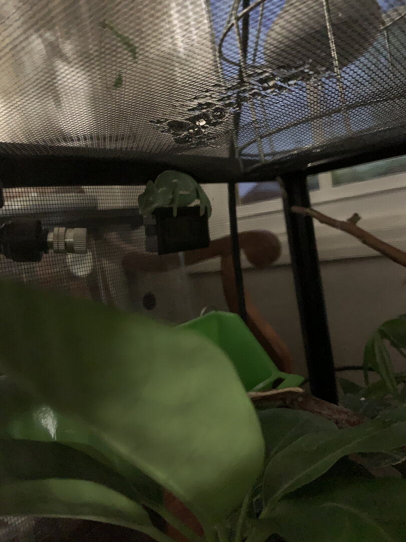 43E27216-CA24-499E-BA8F-77919D17DEE1.jpeg