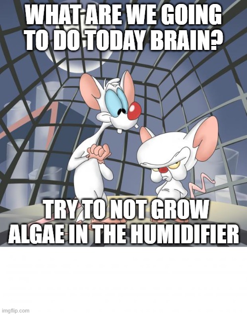 4klxzz.jpg