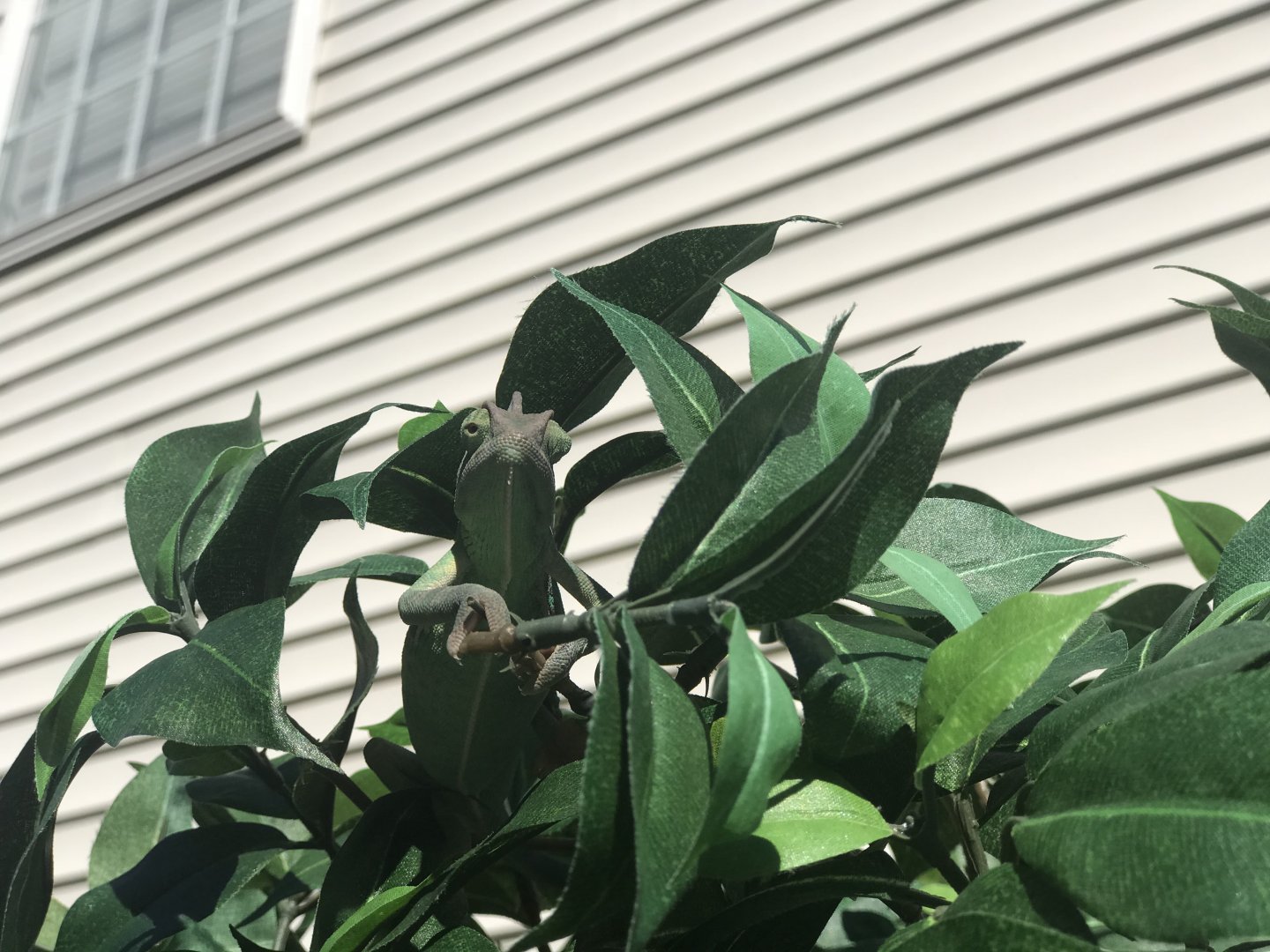 525D6604-88CA-49ED-990F-10E6F8585929.jpeg