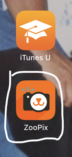 234542
