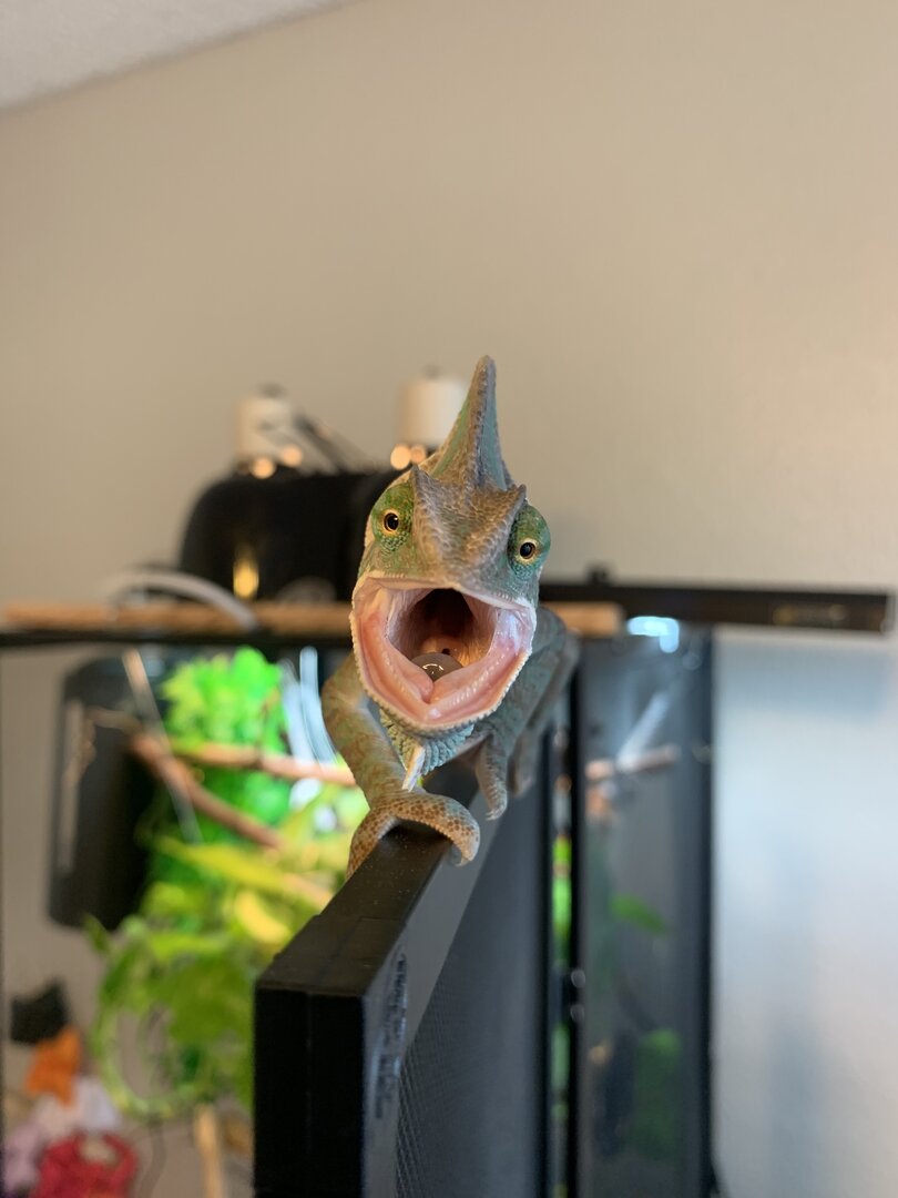 248038