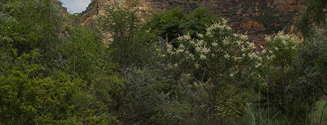 5690FD61-4AB2-4CCD-84CC-F5BB92FD52C1.jpeg