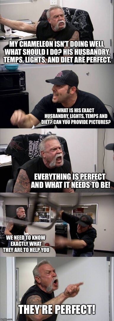 5BBF1BED-94A3-44DA-8AF7-0B7ADFDE9FE9.jpeg