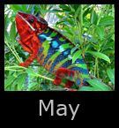 5may.jpg