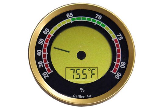 61wqV94rlxL._SX522_.jpg