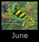 6june.jpg