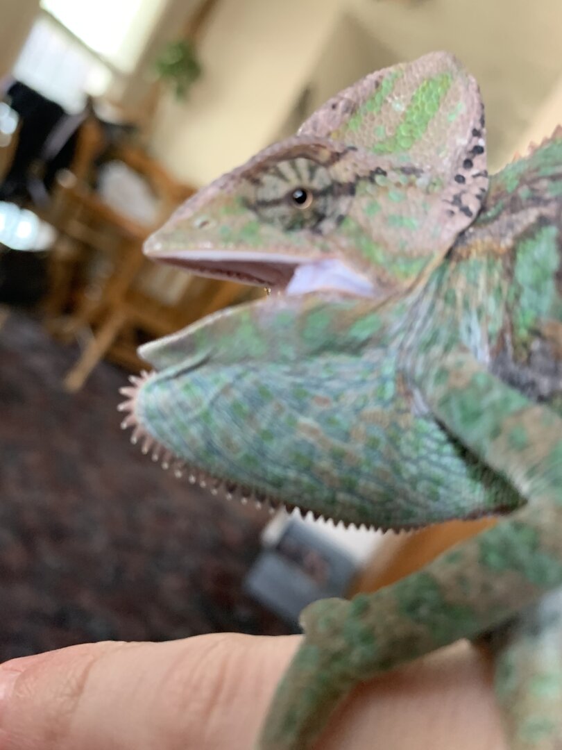 70557D23-F554-4B8D-A1D6-2B6E7C451A8F.jpeg