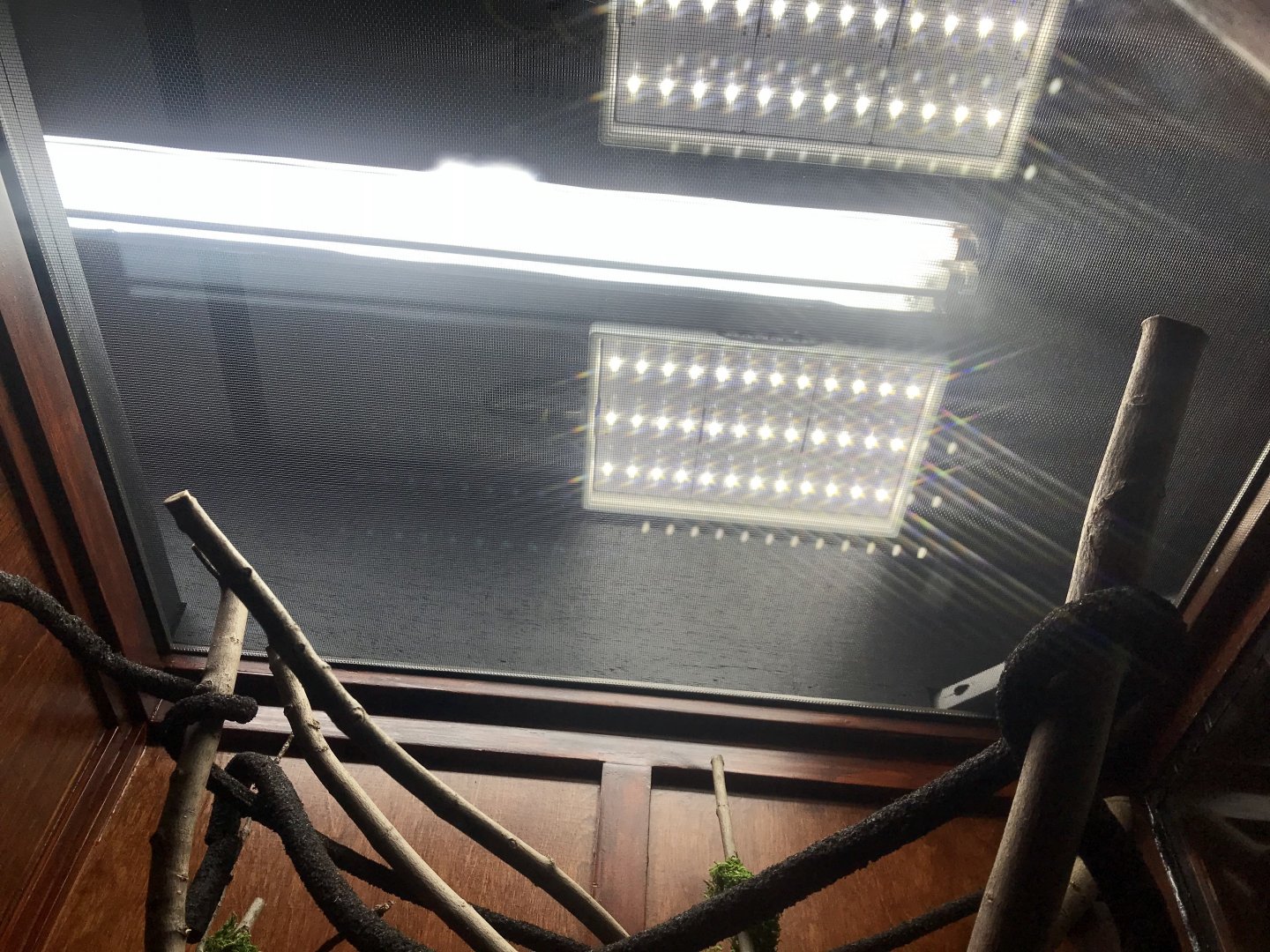 Large 2 Chameleon enclosure build | Page 5 | Chameleon Forums