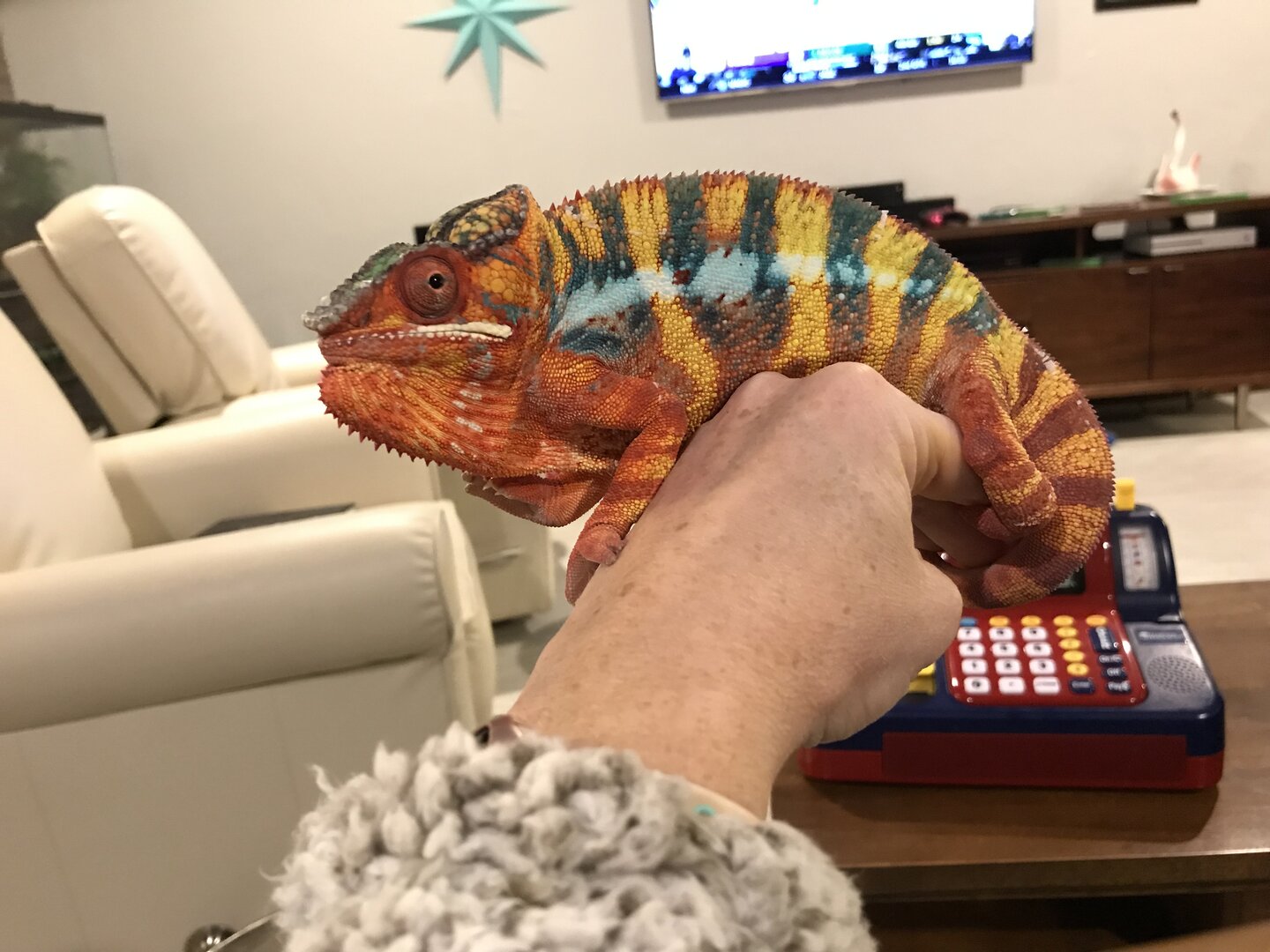 7E010DAE-8F08-42CA-A88C-074D29CAC864.jpeg