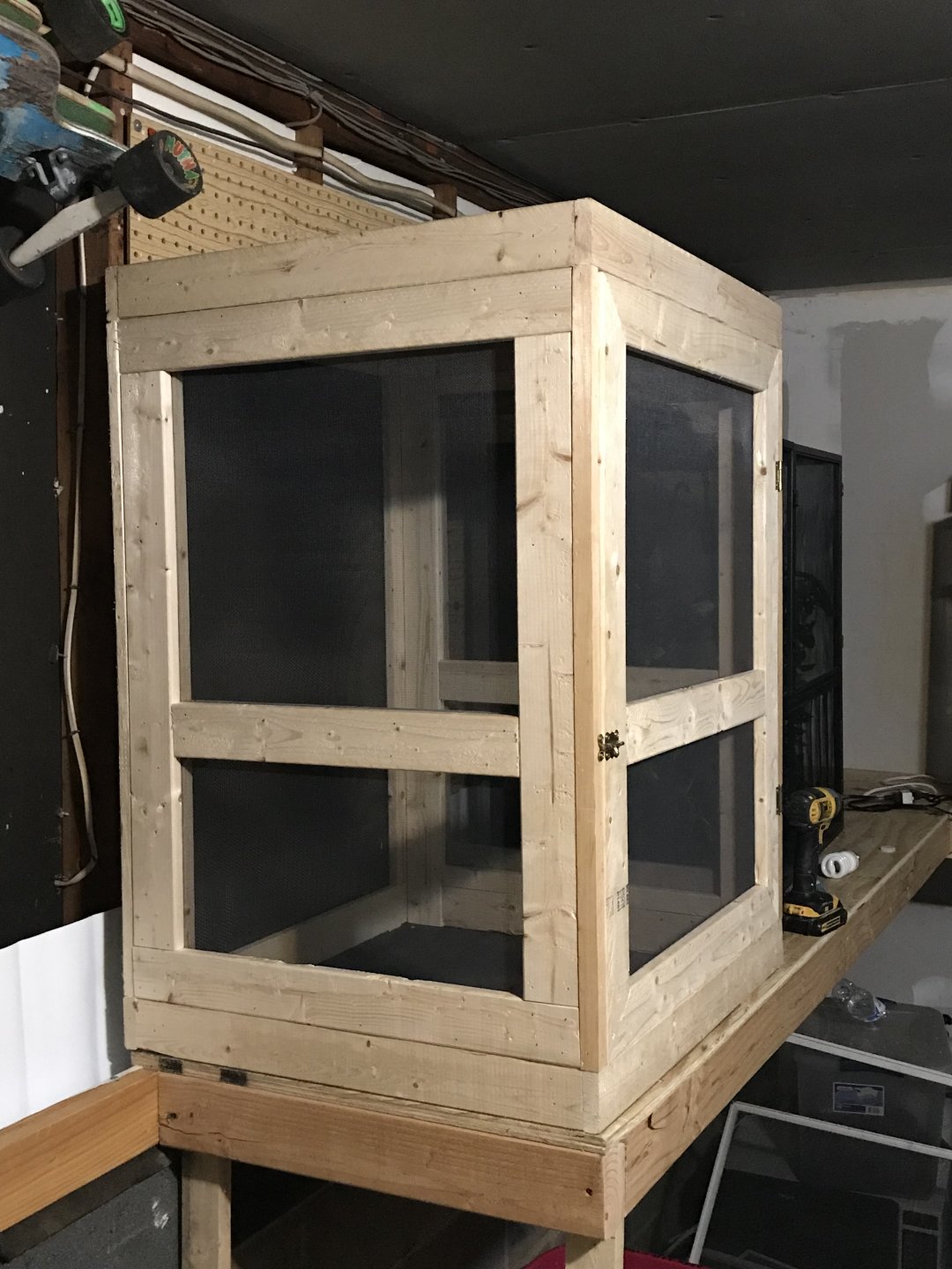 Cage building!! | Chameleon Forums
