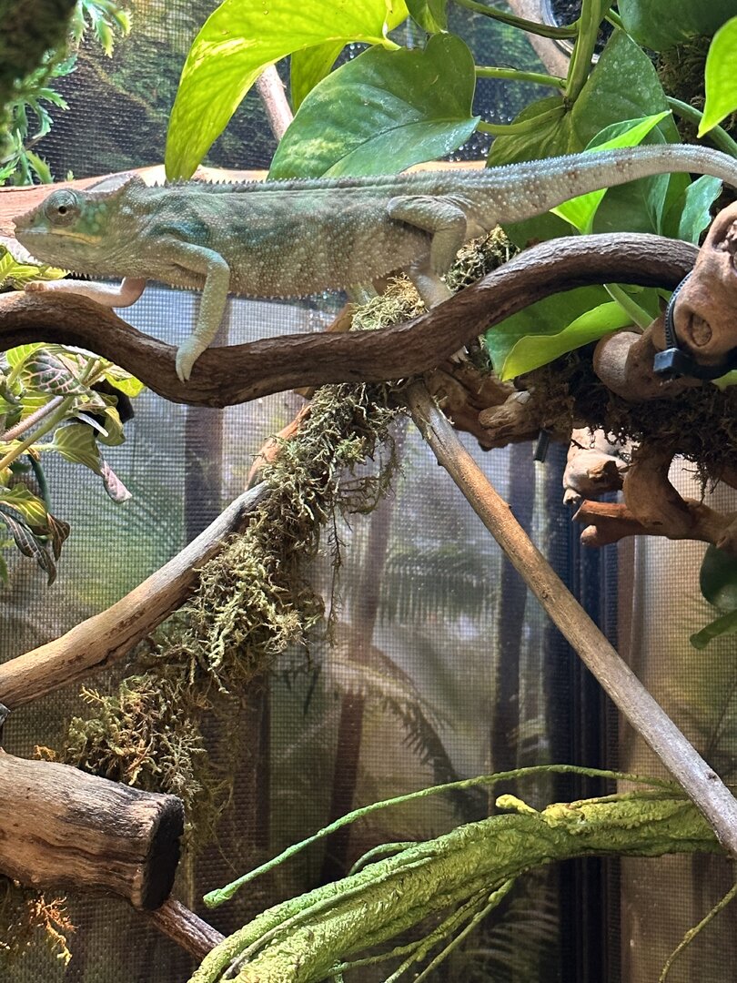 8F151109-12D4-41BE-AA4D-26649301981F.jpeg