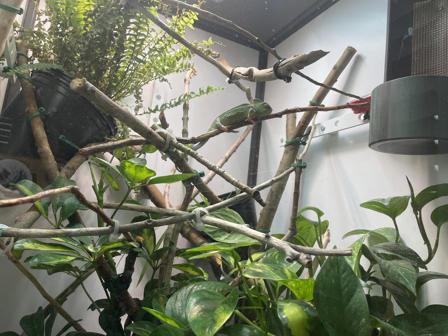 9C4667D4-B8E9-4562-A66F-0978E4B4253D.jpeg