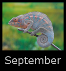 9september.jpg