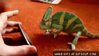 9U1b.gif