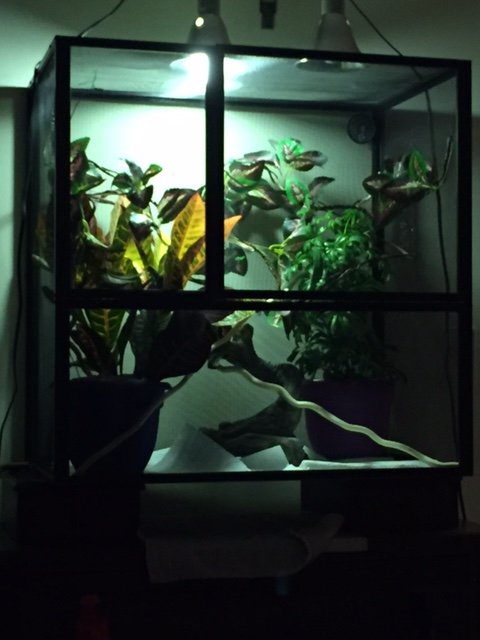 August 6 House upgrade (15).JPG
