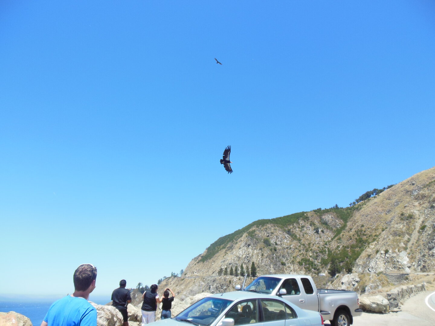 BigSur2CaliforniaCondor2015.jpeg.JPG