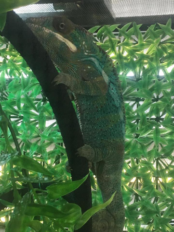 blue9.jpg