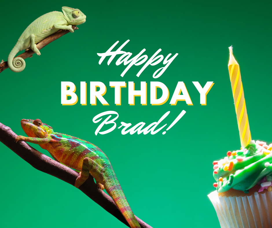 Brad!.png