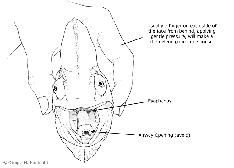 C57AEF1A-0F87-4872-BE2B-BAD7A23C9149.png