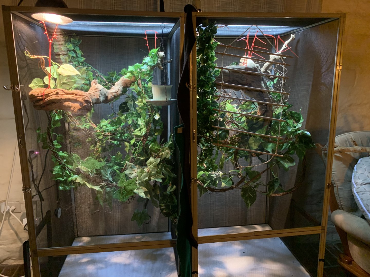 Cages setup | Page 2 | Chameleon Forums