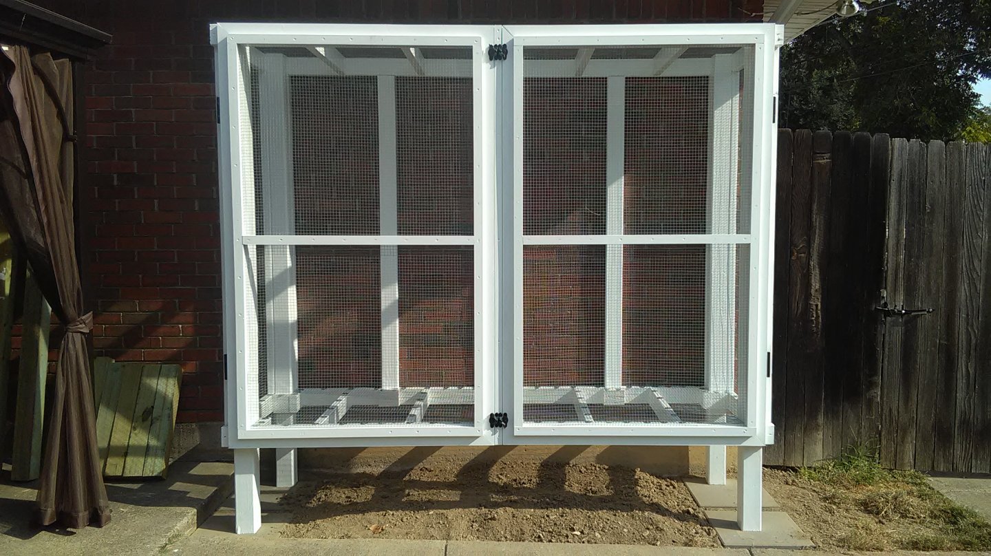 CAGE 4.jpg