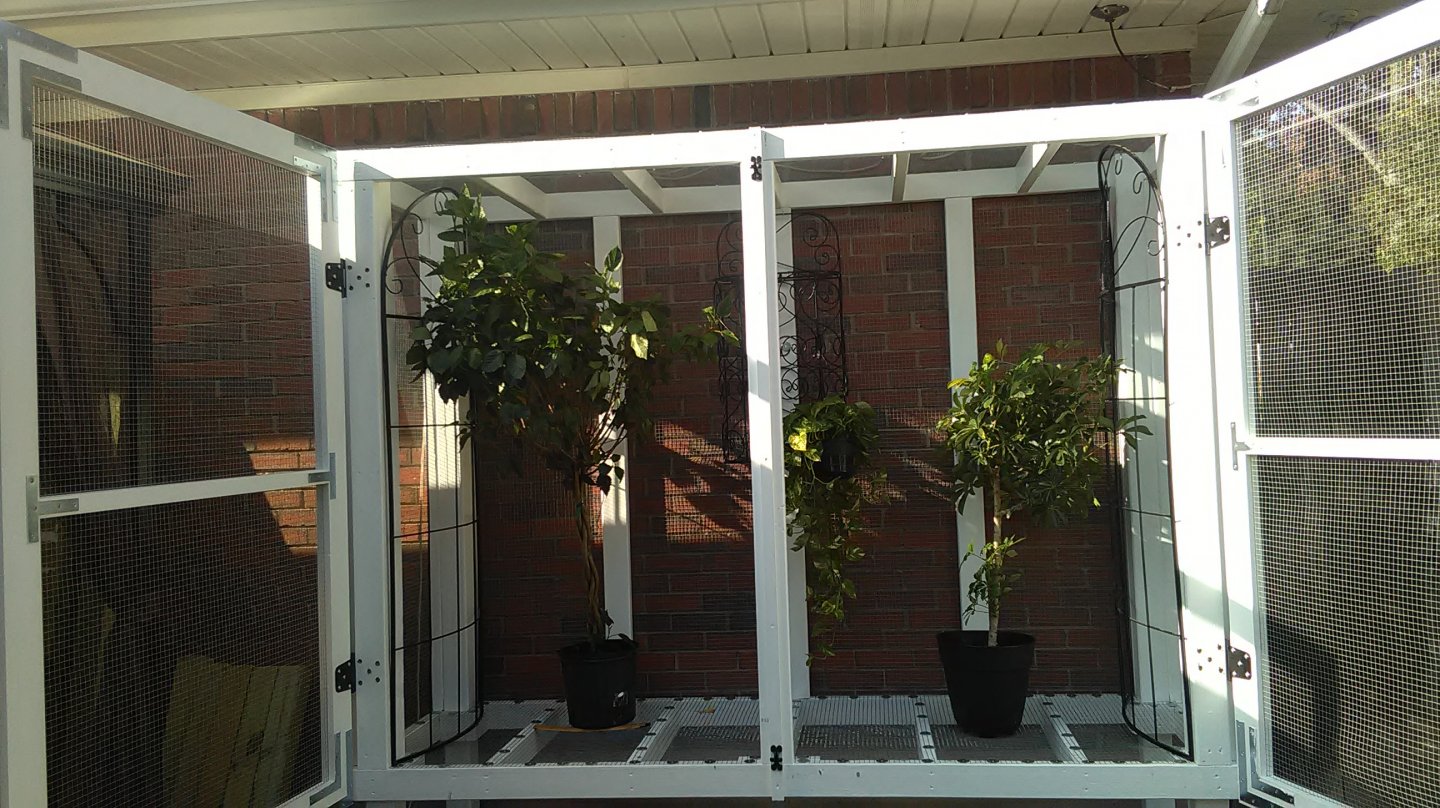 CAGE 6.jpg