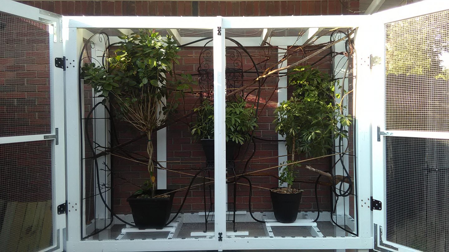 CAGE 7.jpg