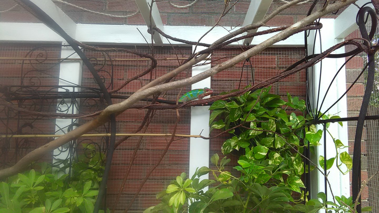 CAGE 8.jpg