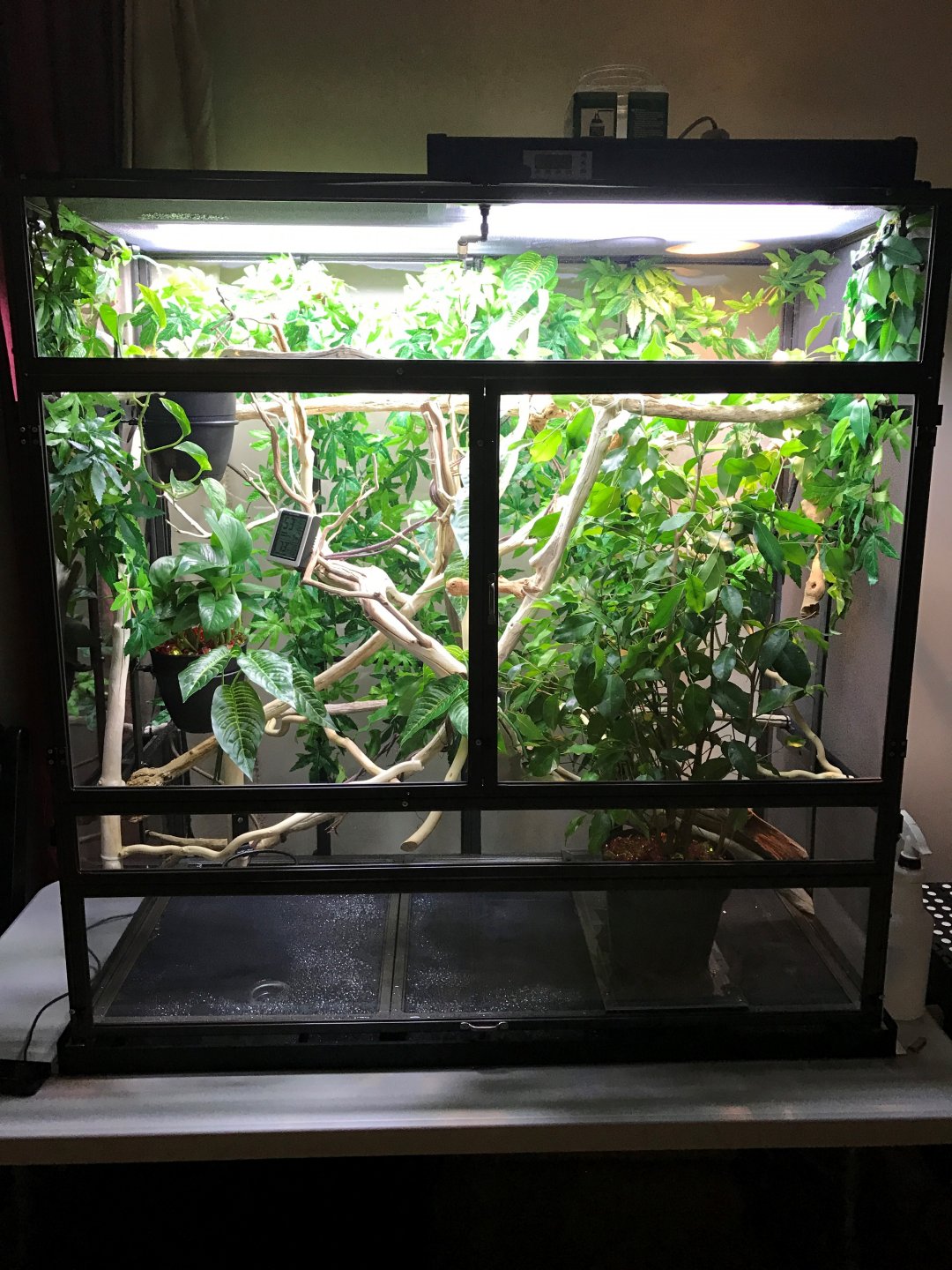 Cage1.jpg