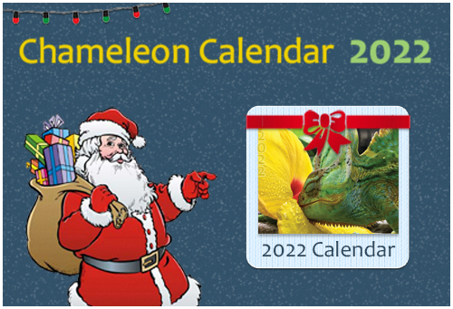 cal_xmas1.jpg