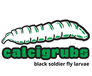 calcigrubs300b.jpg