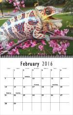 calendar16_february.jpg