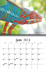 calendar16_june.jpg