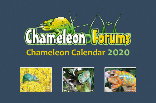 calendar2020ad2.jpg
