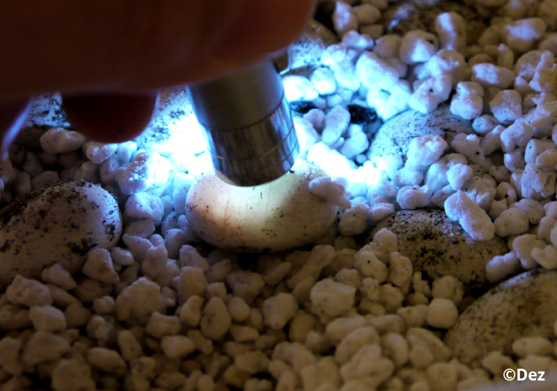 candle7.jpg