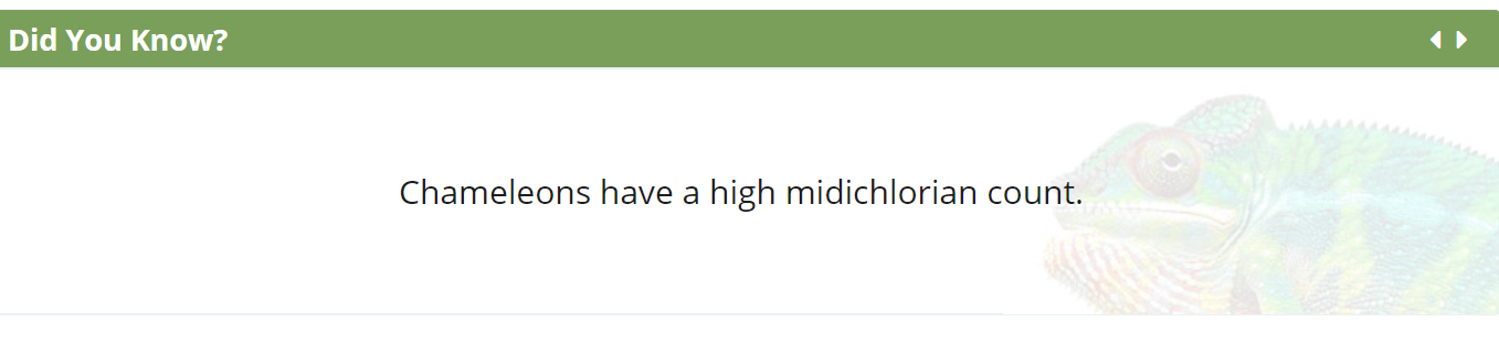 241308
