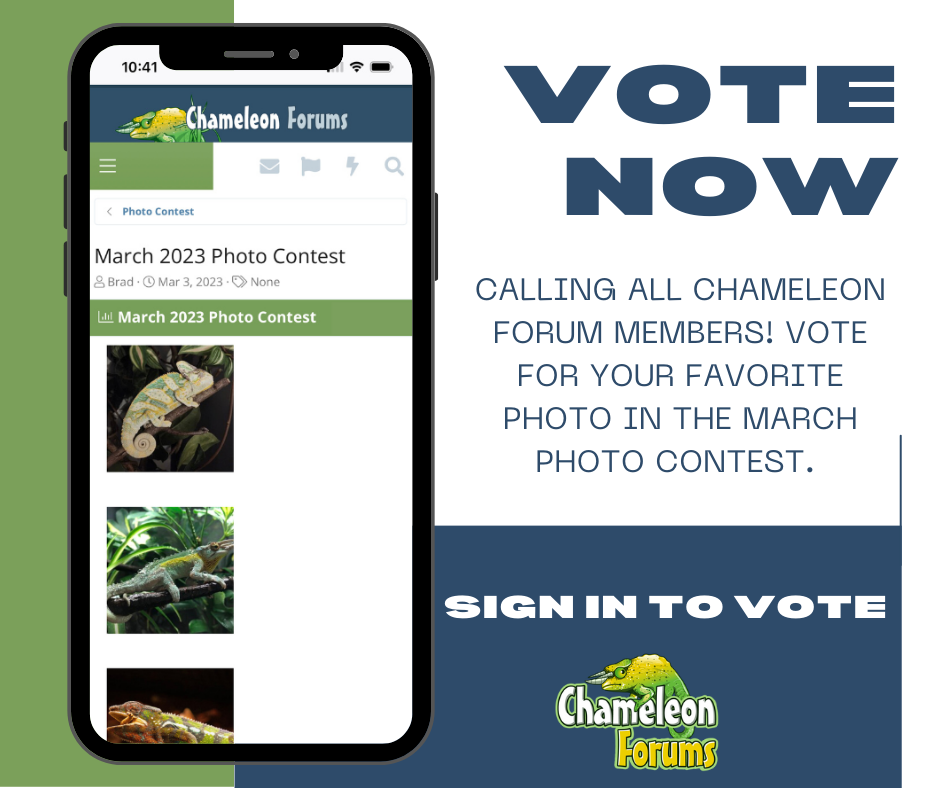 CF Photo Contest vote now FB .png