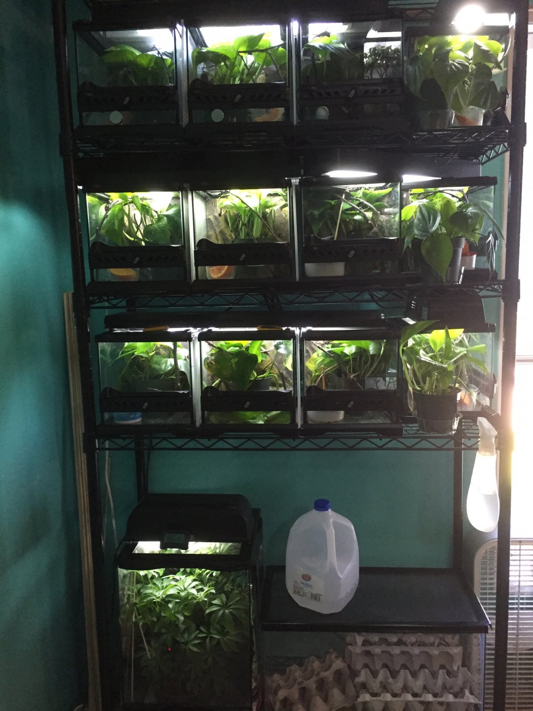 Cham Nursery.jpg