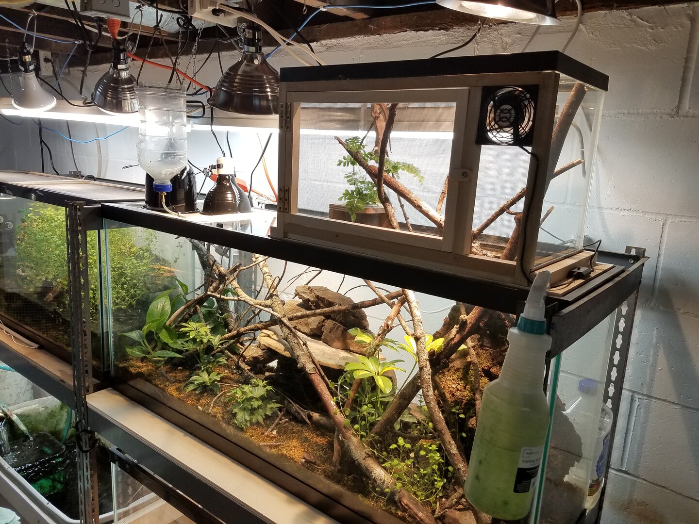 chameleon setup.jpg
