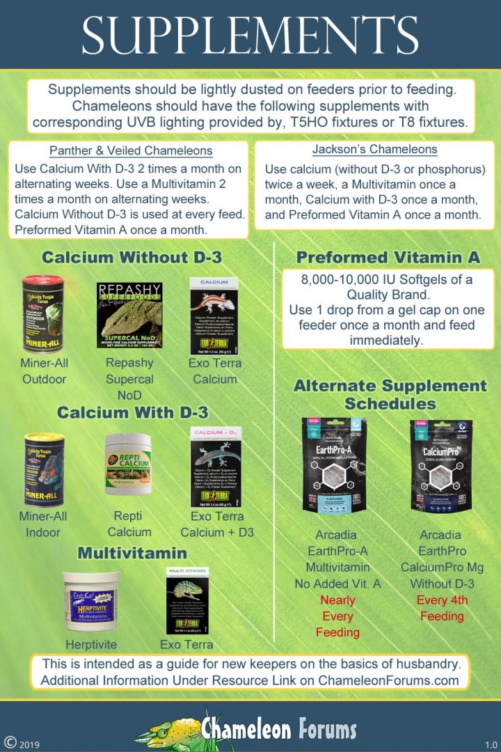 chameleon-supplements.jpg
