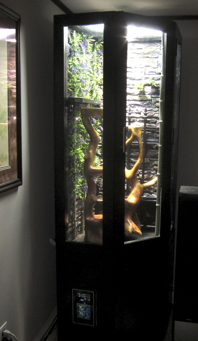 chameleon terrarium day 1.jpg