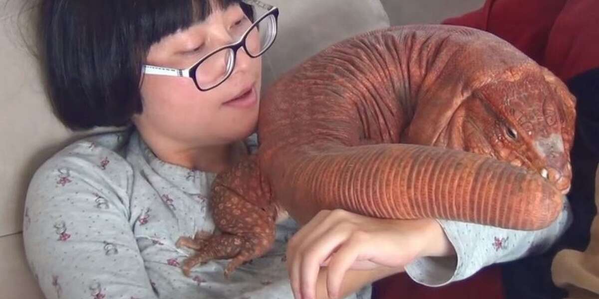 crop.jpg
