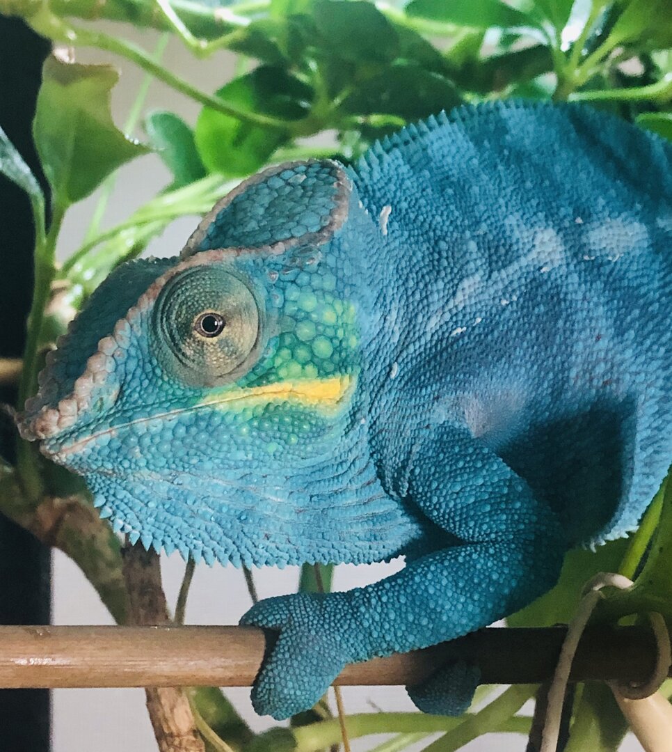 D2E515DC-AD4E-4467-B4DF-25E70D6B050F.jpeg