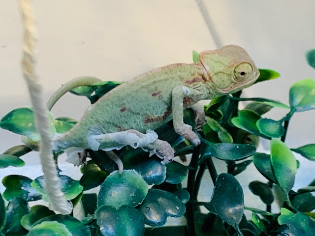 D3437530-0CEA-4524-92D6-26D7CA292E28.jpeg