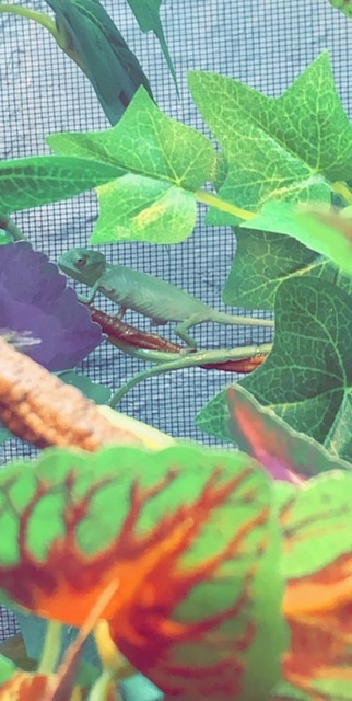 D39B824D-2089-405C-B4A9-57A11AAA5DD3.jpeg
