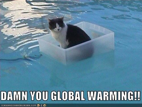 damn-you-global-warming.jpg