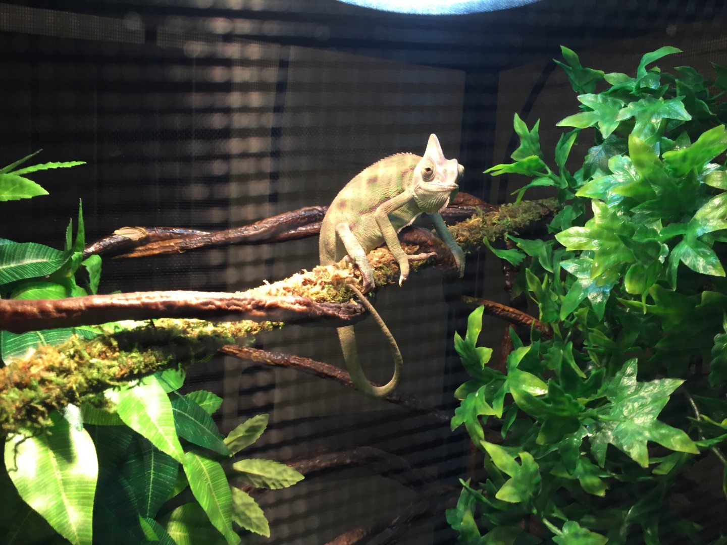 Day Before Symptoms.jpg