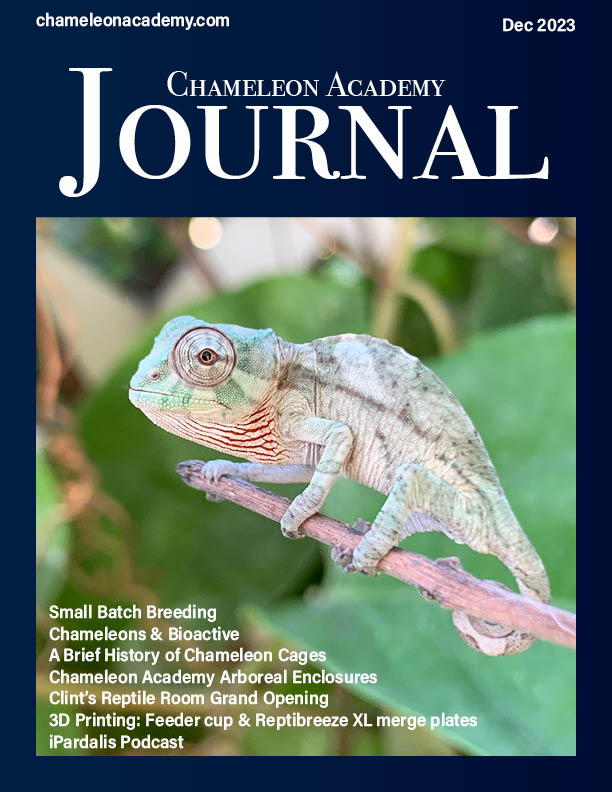 Dec Jan 2023 Issue B .jpg
