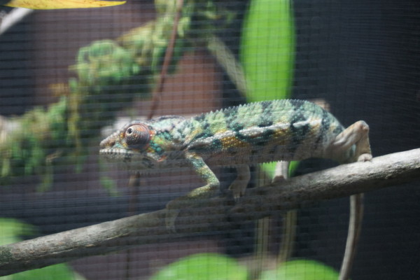 DSC00647.jpg