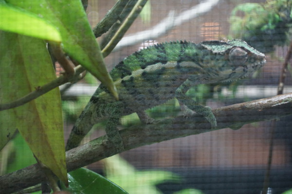 DSC00677.jpg